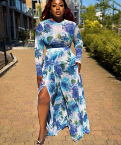 Shayla Mesh Dress