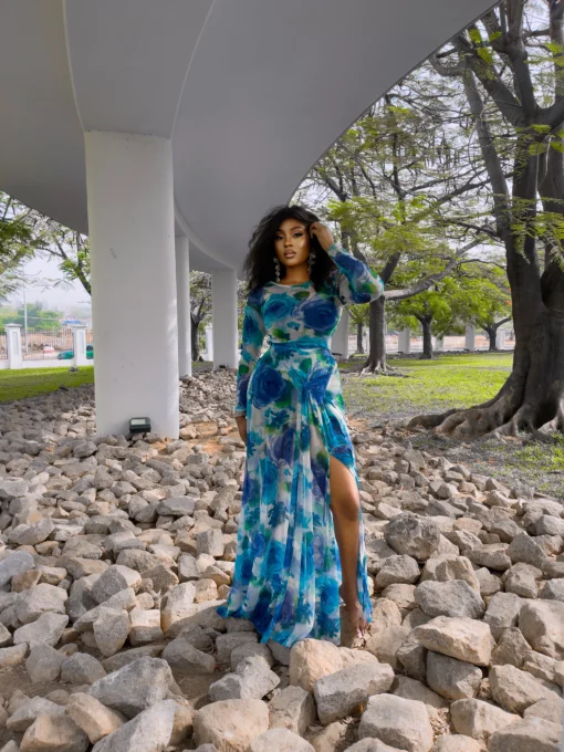 Shayla Mesh Dress